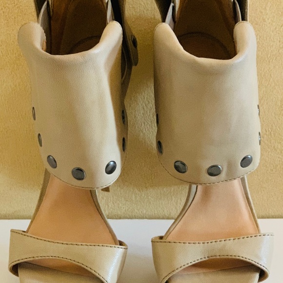 Lamb - Picture 7 of 7